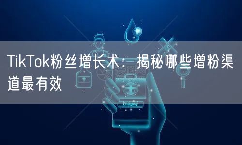 TikTok粉丝增长术：揭秘哪些增粉渠道最有效