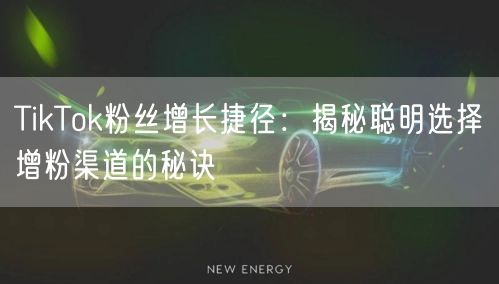 TikTok粉丝增长捷径：揭秘聪明选择增粉渠道的秘诀