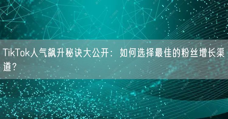 TikTok人气飙升秘诀大公开：如何选择最佳的粉丝增长渠道？