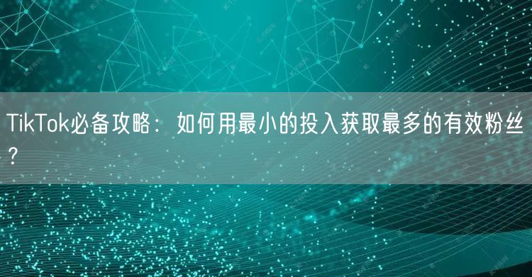 TikTok必备攻略：如何用最小的投入获取最多的有效粉丝？