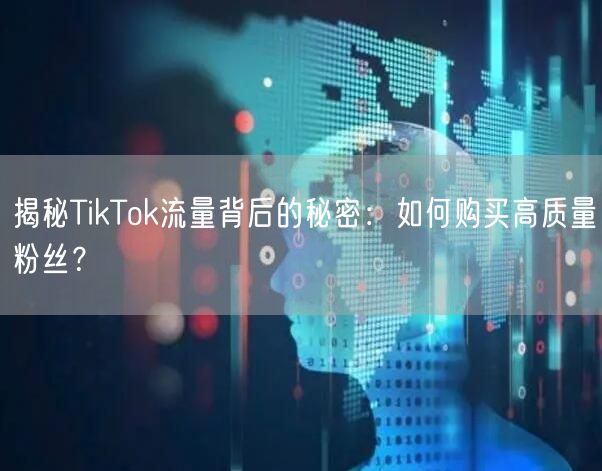 揭秘TikTok流量背后的秘密：如何购买高质量粉丝？