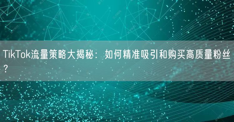 TikTok流量策略大揭秘：如何精准吸引和购买高质量粉丝？