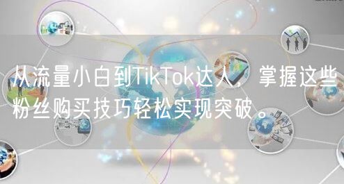 从流量小白到TikTok达人，掌握这些粉丝购买技巧轻松实现突破。