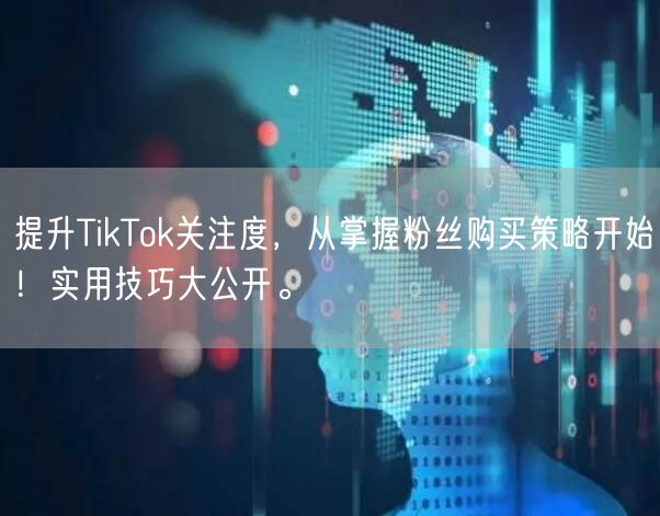提升TikTok关注度，从掌握粉丝购买策略开始！实用技巧大公开。