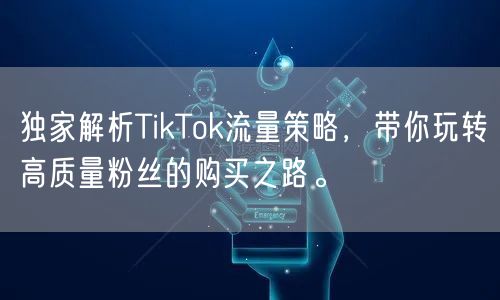 独家解析TikTok流量策略，带你玩转高质量粉丝的购买之路。
