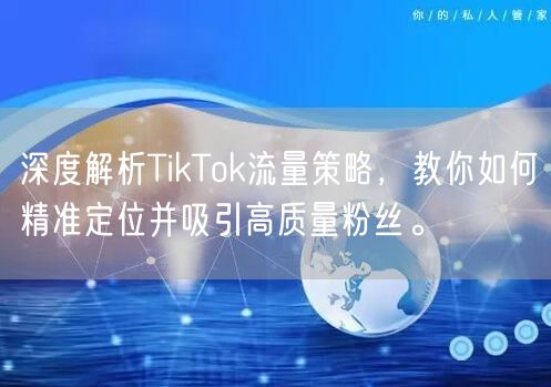 深度解析TikTok流量策略，教你如何精准定位并吸引高质量粉丝。