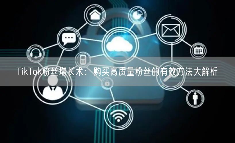 TikTok粉丝增长术：购买高质量粉丝的有效方法大解析