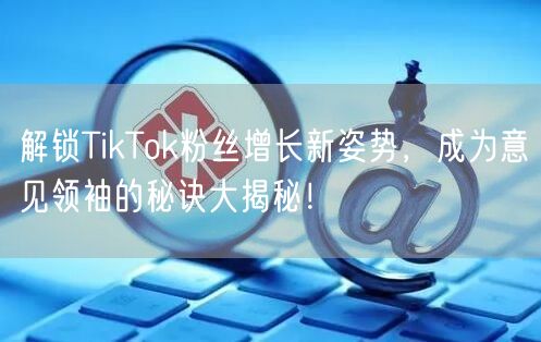解锁TikTok粉丝增长新姿势，成为意见领袖的秘诀大揭秘！