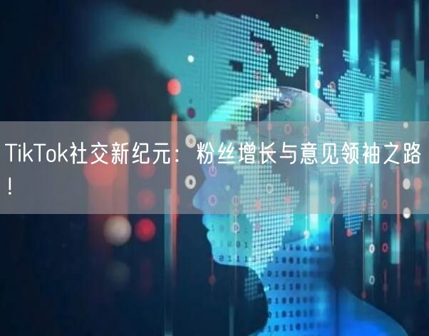 TikTok社交新纪元：粉丝增长与意见领袖之路！