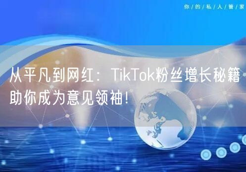 从平凡到网红：TikTok粉丝增长秘籍助你成为意见领袖！