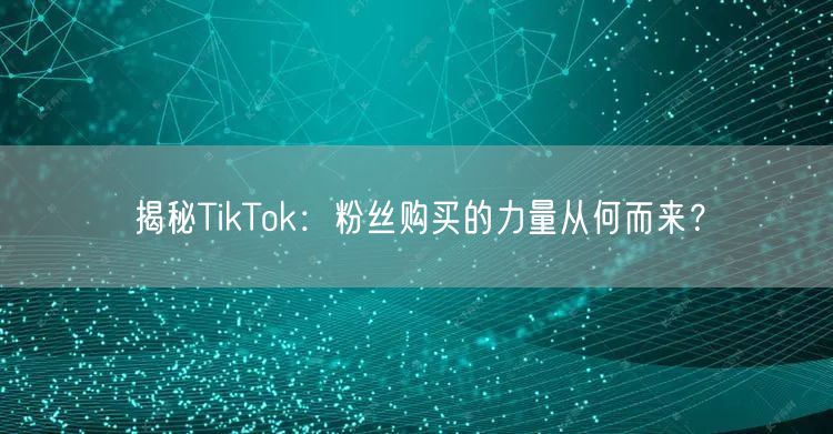 揭秘TikTok：粉丝购买的力量从何而来？