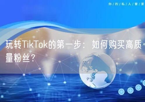 玩转TikTok的第一步：如何购买高质量粉丝？