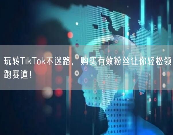 玩转TikTok不迷路，购买有效粉丝让你轻松领跑赛道！