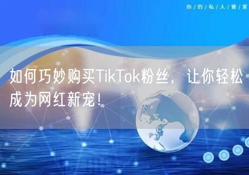 如何巧妙购买TikTok粉丝，让你轻松成为网红新宠！
