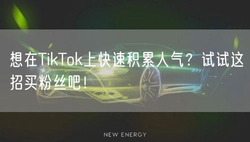想在TikTok上快速积累人气？试试这招买粉丝吧！