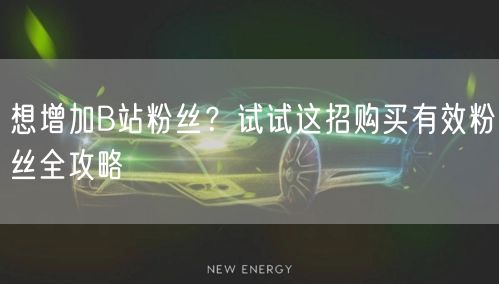 想增加B站粉丝？试试这招购买有效粉丝全攻略