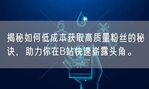 揭秘如何低成本获取高质量粉丝的秘诀，助力你在B站快速崭露头角。