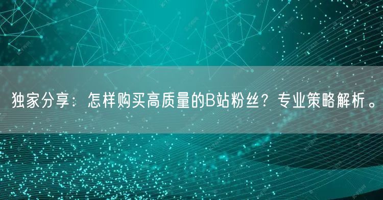 独家分享：怎样购买高质量的B站粉丝？专业策略解析。