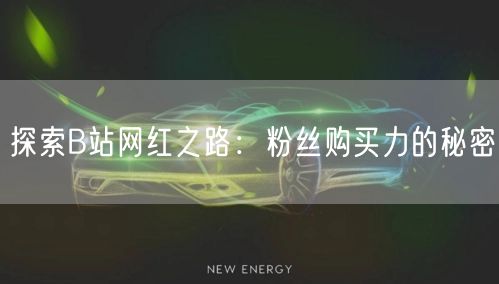 探索B站网红之路：粉丝购买力的秘密