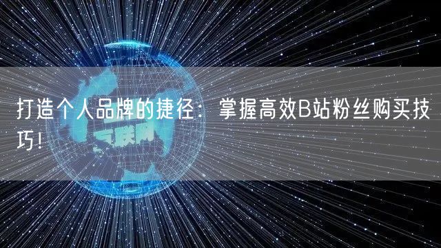 打造个人品牌的捷径：掌握高效B站粉丝购买技巧！