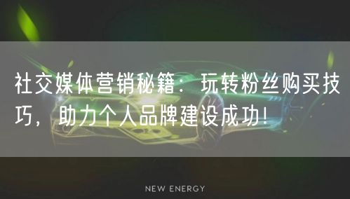 社交媒体营销秘籍：玩转粉丝购买技巧，助力个人品牌建设成功！