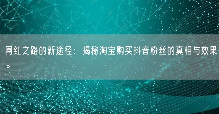 网红之路的新途径：揭秘淘宝购买抖音粉丝的真相与效果。