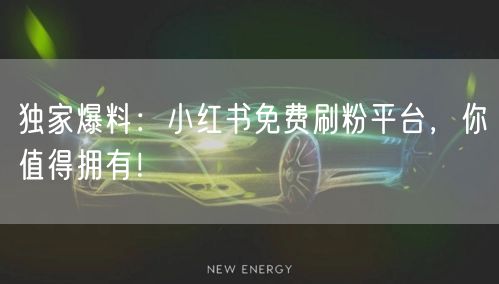 独家爆料：小红书免费刷粉平台，你值得拥有！