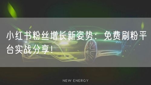 小红书粉丝增长新姿势：免费刷粉平台实战分享！