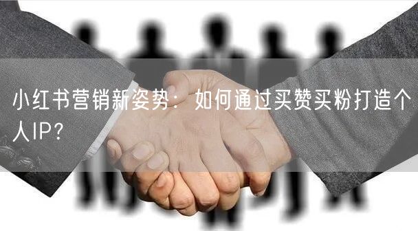 小红书营销新姿势：如何通过买赞买粉打造个人IP？