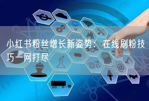 小红书粉丝增长新姿势：在线刷粉技巧一网打尽