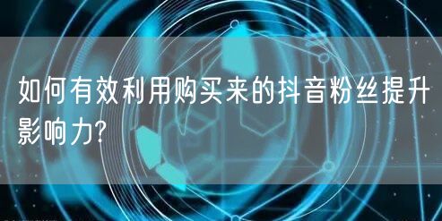 如何有效利用购买来的抖音粉丝提升影响力?