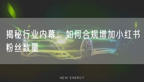 揭秘行业内幕：如何合规增加小红书粉丝数量