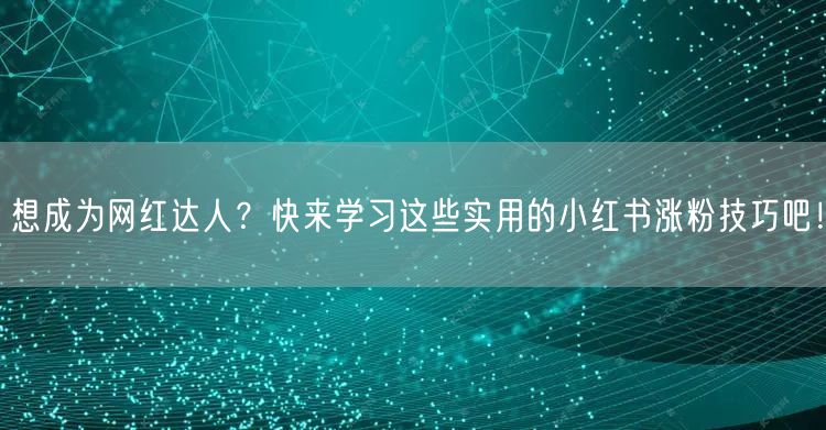 想成为网红达人？快来学习这些实用的小红书涨粉技巧吧！