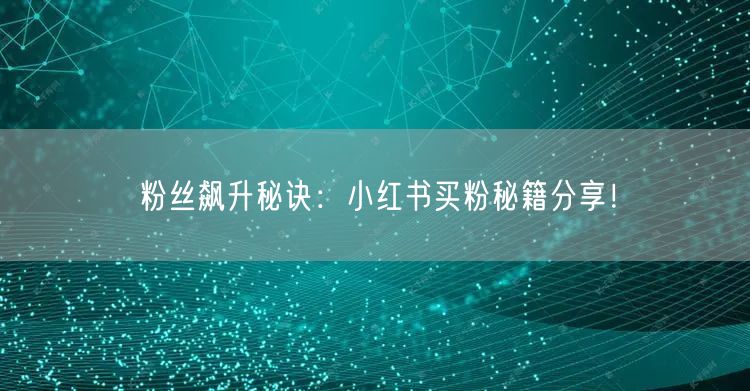 粉丝飙升秘诀：小红书买粉秘籍分享！