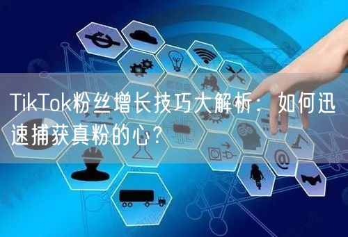 TikTok粉丝增长技巧大解析：如何迅速捕获真粉的心？