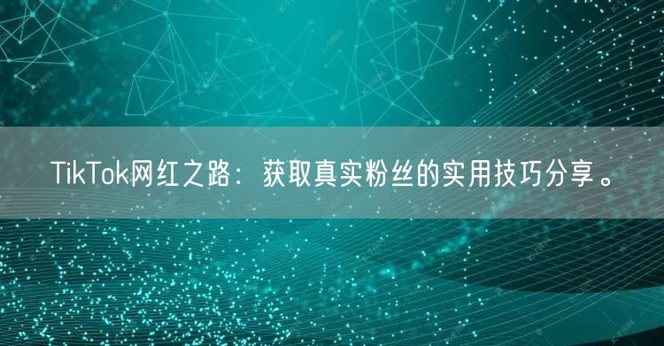 TikTok网红之路：获取真实粉丝的实用技巧分享。